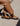 Botines Chelsea Cuero Mujer Erea Brandy Bullboxer