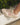 Zapatillas Urbanas Mujer Ecocuero y Textil Helmi Rosado Bullboxer